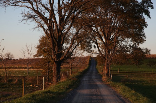 Amish Farms near Lancaster, PA