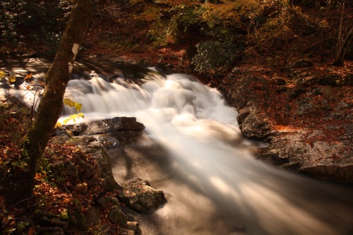 Water in Smoky Mountain NP